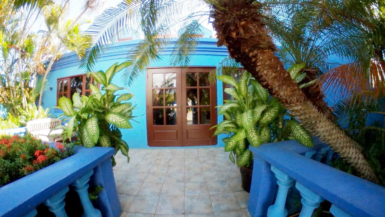 De Cuba Bed & Breakfast Noord Eksteriør billede