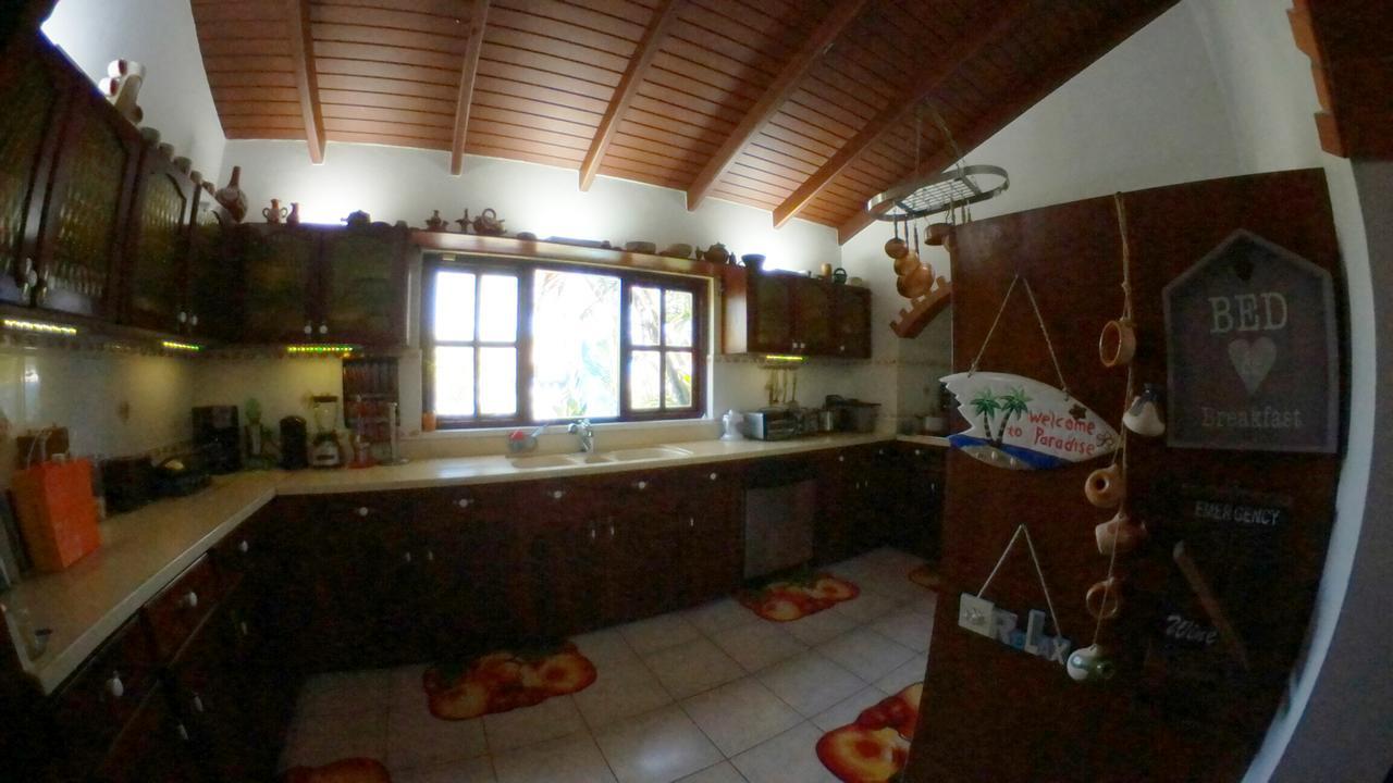 De Cuba Bed & Breakfast Noord Eksteriør billede