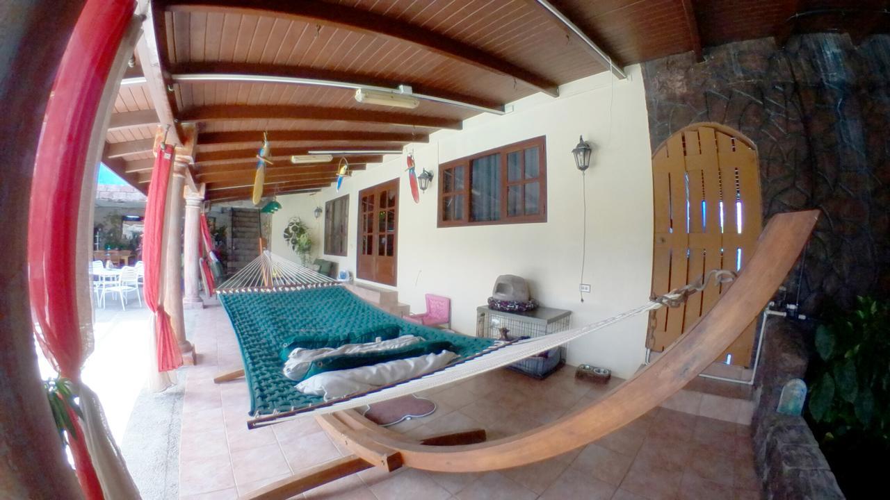 De Cuba Bed & Breakfast Noord Eksteriør billede